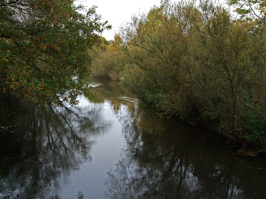 Angeln an der Ilmenau bei Uelzen