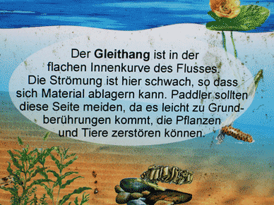 Gleithang in der Innenkurve eines Flusses