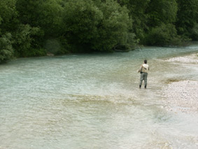 Obere Isar - Ralphi beim Fliegenfischen