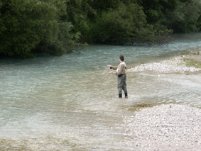 Fliegenfischen in der Isar bei Mittenwald