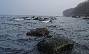 Meeresangeln auf Fehmarn