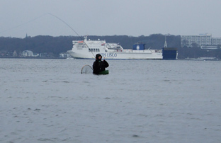 Auf Meerforelle Fliegenfischen in der Kieler Förde