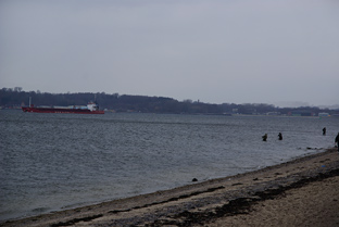 Ganz schön was los in der Kieler Bucht