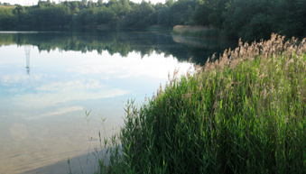 Angeln Am Kreidesee Hemmoor