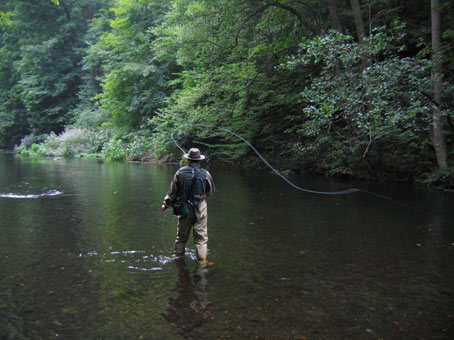Fliegenfischen an der Bode