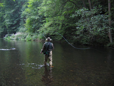 Fliegenfischen an der Bode