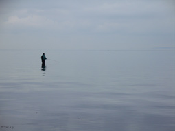 Meerforellenangler