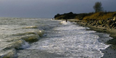 Bei Eckernförde auf Meerforelle