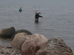 Auf Meerforelle an der Ostsee