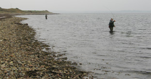 Fliegenfischen an der Ostsee