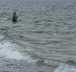 Meerforelle Ostsee