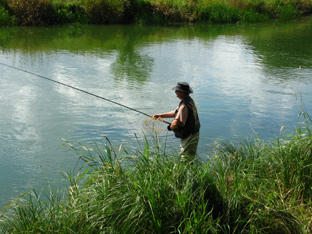 Angeln auf Lachs an der Gudenau, Dänemark