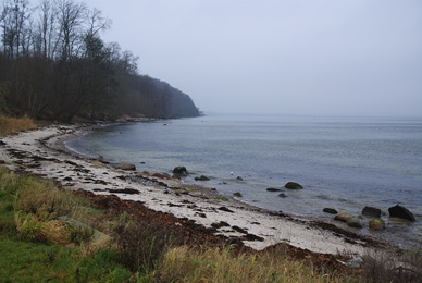 Auf Meerforelle an der Ostsee. Hier in Langballigau in der Flensburger Förde.