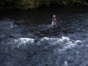 Fliegenfischen an der Lenne