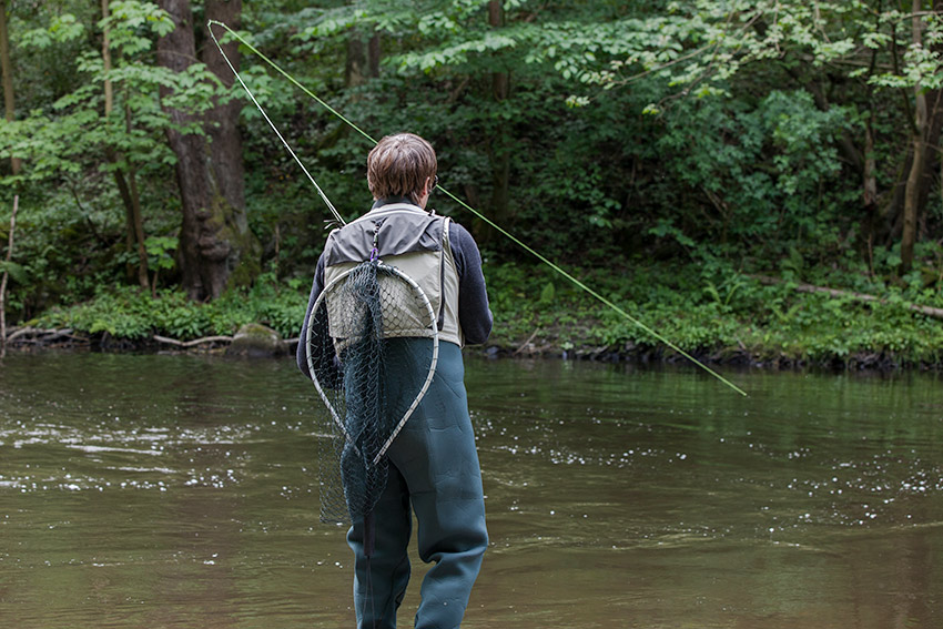 Fliegenfischen auf Äschen in der Fliegenfischerschule Mittelweser, Stolzenau