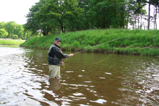 Trockenfliegenfischen im ruhigen Wasser aud sensible Fische