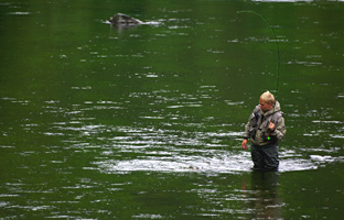 Max G. aus Hamburg beim Fliegenfischen an der Bode