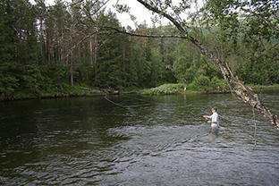 In Norwegen Fliegenfischen auf Äsche und Forellen in Norwegen