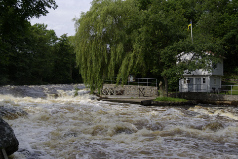 Die grosse Rausche am Laxens Hus. Hier bekommt man gleich einen ersten Eindruck von diesem mächtigen Fluss Mörrum in Südschweden