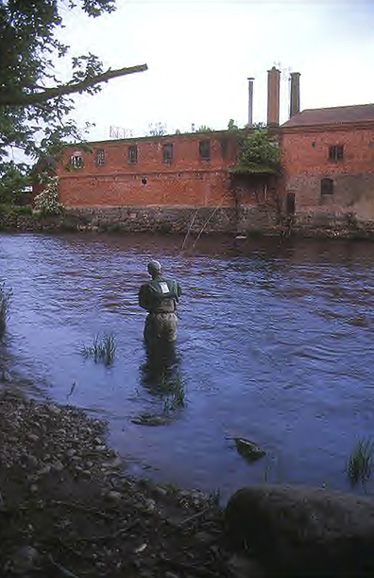 Fliegenfischen auf Lachs und Meerforelle im Pool 17 der Mörrum