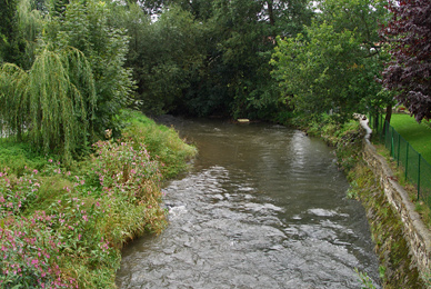 n der Alme auf Bachforellen und Äschen