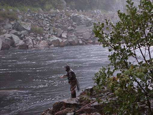 Lachsfischen am Mandalselver. Mandal / Norwegen