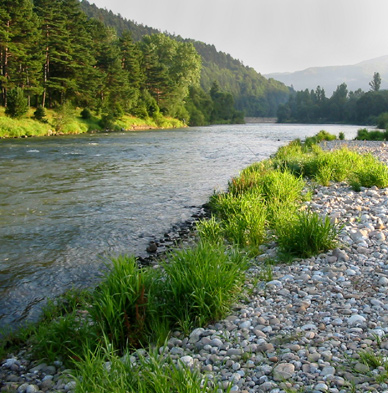 Angeln am Dunajec