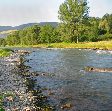 Fliegenfischen am Dunajec im Süden Polens