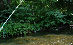 Polyleader beim Nymphenfischen im Sonnenschein