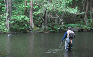 Fliegenfischen an der Bode im Ostharz