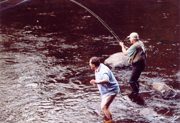 Lachs aus Pool 26 der Mörrum, Schweden