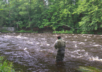 Unterhandwurf in der Vitskövle-Strecke der Mörrum, Schweden.