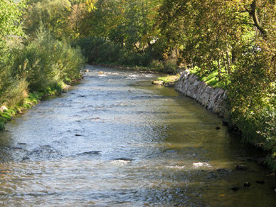 Gutes Angeln an der Schwarzwasser in Sachsen