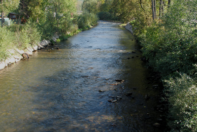 Die Schwarzwasser direkt im Ort Schwarzenberg