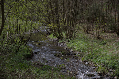 Luppbode kurz vor Treseburg.