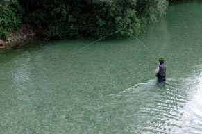 Fliegenfischen an der Sava Bohinska, Slowenien