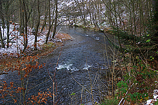 Fliegenfischen auf Äsche und Forellen in Thüringen