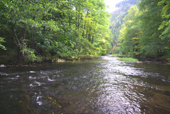 Schöne Rausche der Schwarza