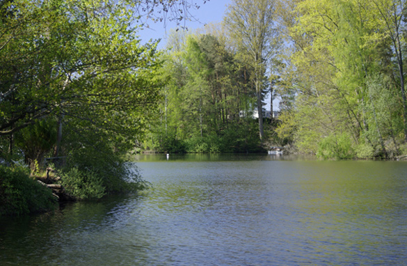 Hier riecht es doch extrem nach Hecht: nordwestliche Ecke des Prüßsee in Güster.