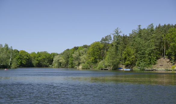 Viele Inseln mit Unterständen für Hechte findet der Angler im Prüßsee bei Güster. Fliegenfischen auf Hecht ist hier super, idealerweise vom Boot