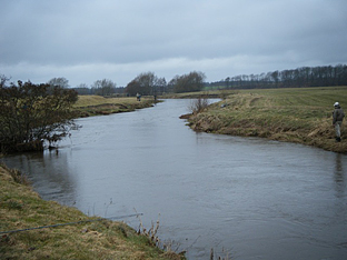 Premiere an der Skjern Au