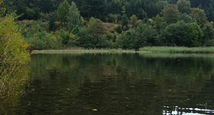 Fliegenfischen am Unterbecken des Söse-Stausees