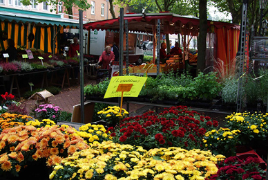 Klönmarkt in Stolzenau / Weser