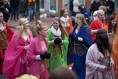 27. Karneval 2015 in Stolzenau. Fliegenfischule-Mittelweser.de