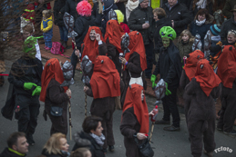 Foto 30, Karneval in Stolzenau / Weser, 2017,  Fliegenfischule-Mittelweser.de