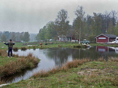 Fliegenfischen geht sehr gut hier in Schweden