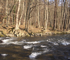 Auch schnelles Wasser gibt es reichlich