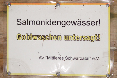 Fliegenfischen Schwarza, Thüringen