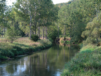 Werra in Thüringen