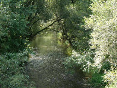 Fliegenfischen an der Werra in Thüringen